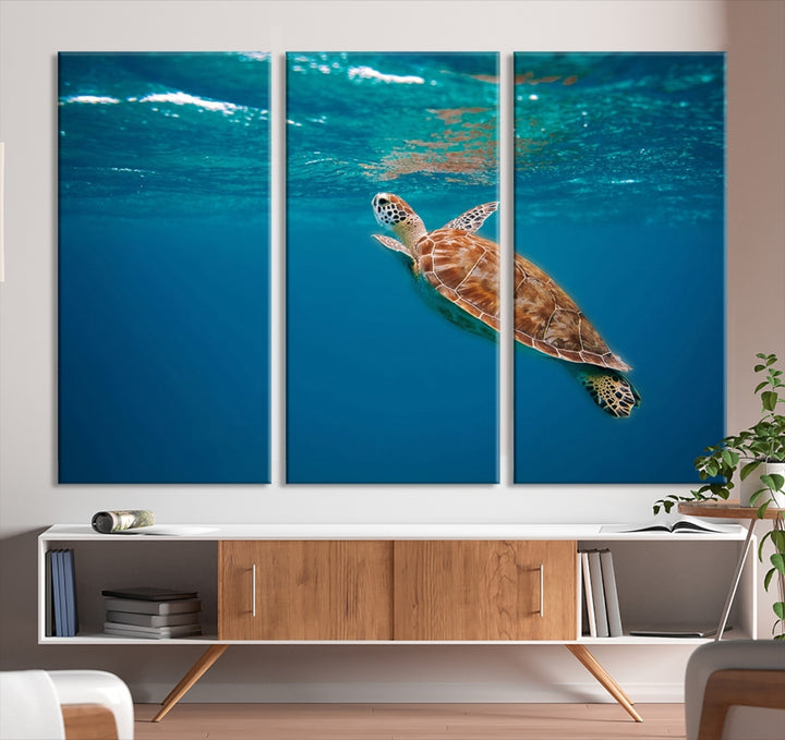 Baby Turtle in Ocean Wall Art Canvas Print