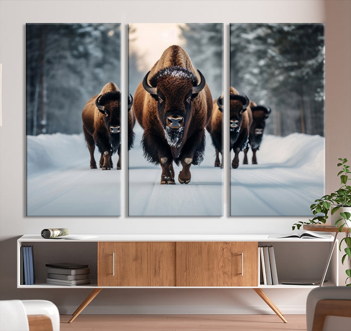 Buffalo Family Wall Art Canvas Print, Bison Family Wall Art Canvas Print