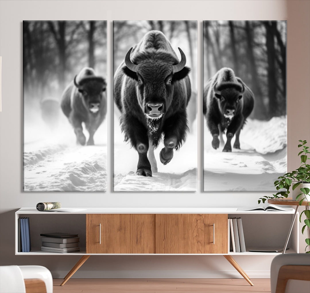 Impression sur toile d’art mural Buffalo, impression sur toile d’art mural de la famille Bison