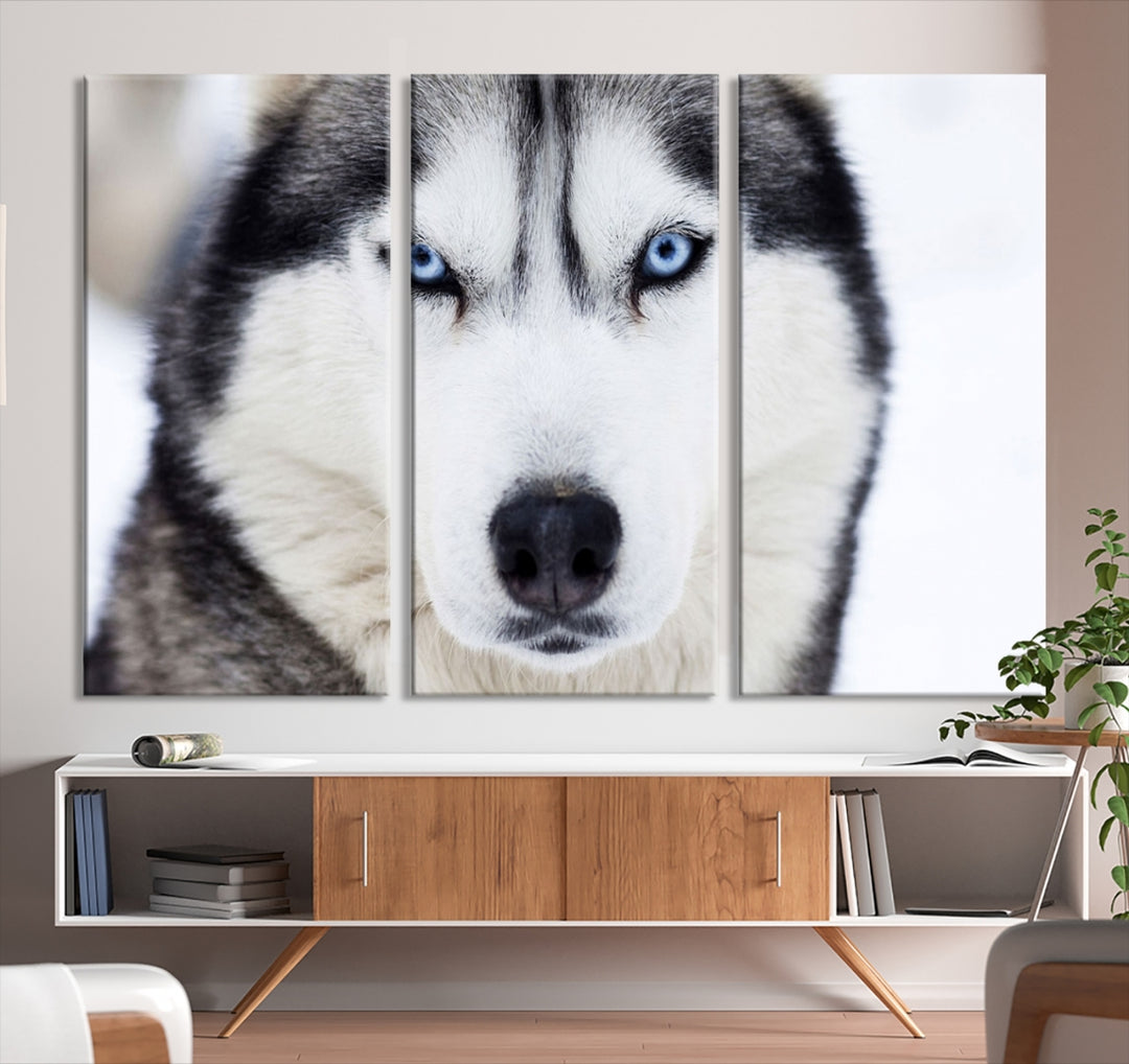 Hiver Husky Sibérien Loup Yeux Bleus Art Mural Impression sur toile