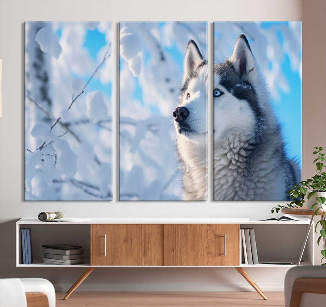 Siberian Husky Art Canvas, Wolf Wall Art, Animal Canvas Print