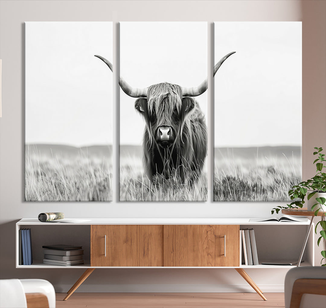 Cow Longhorn Animal Wall Art Farmhouse , Scottish Bighorn Wall Art Canvas Print