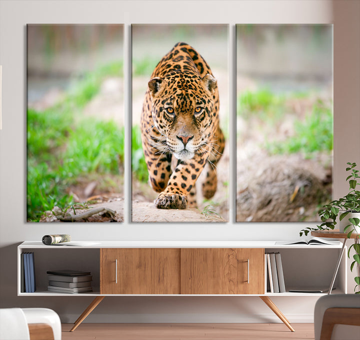 Leopard Wall Art Canvas Print