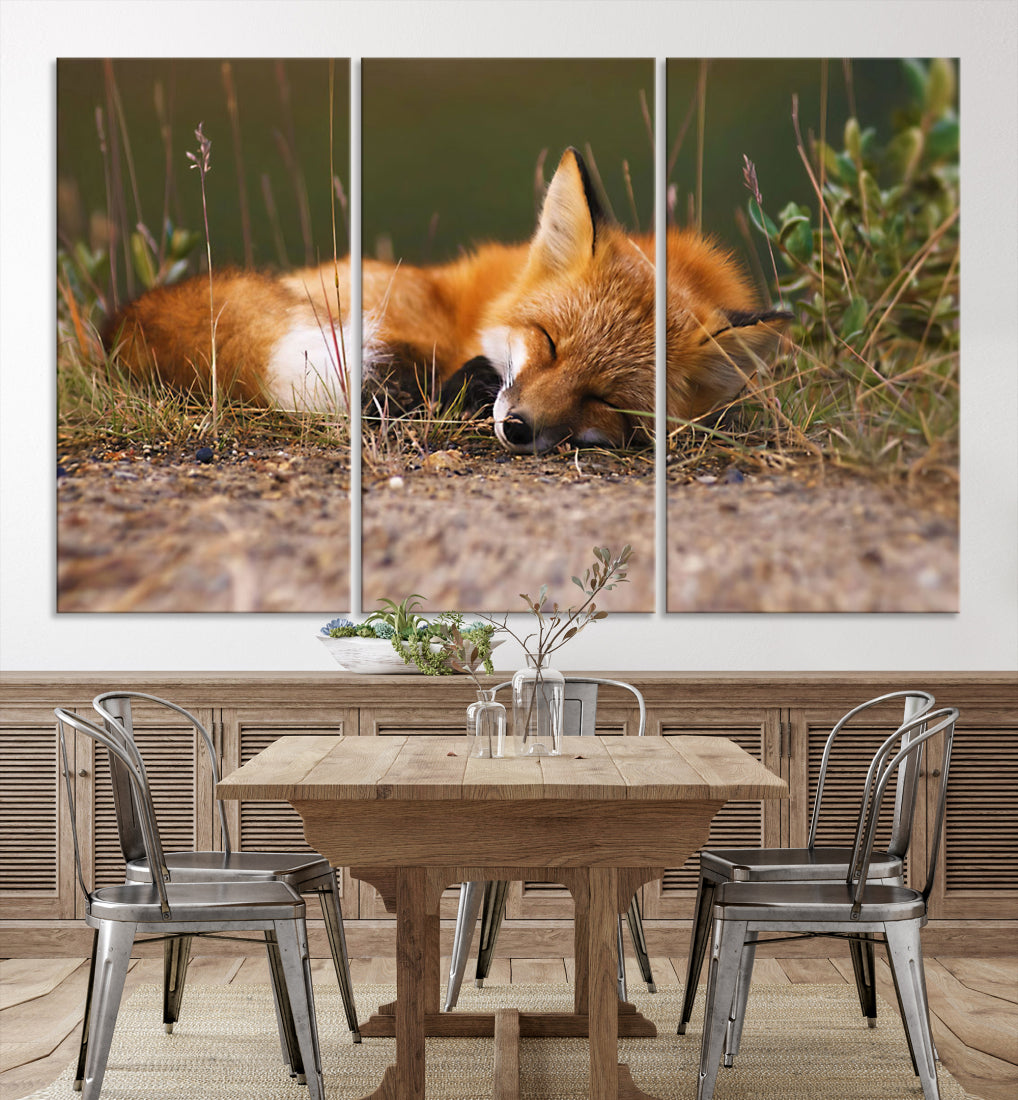 Sleeping Fox Wall Art Canvas Print, Farmhouse Wall Decor and Animal Wall Art Print