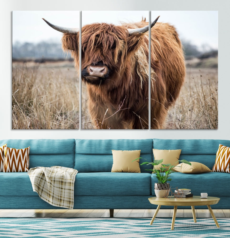 Highland Scottish Cow Canvas Wall Art Canvas Print