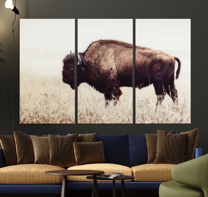 Bison in Field Wall Art Canvas Print For Farmhouse Barn Decor