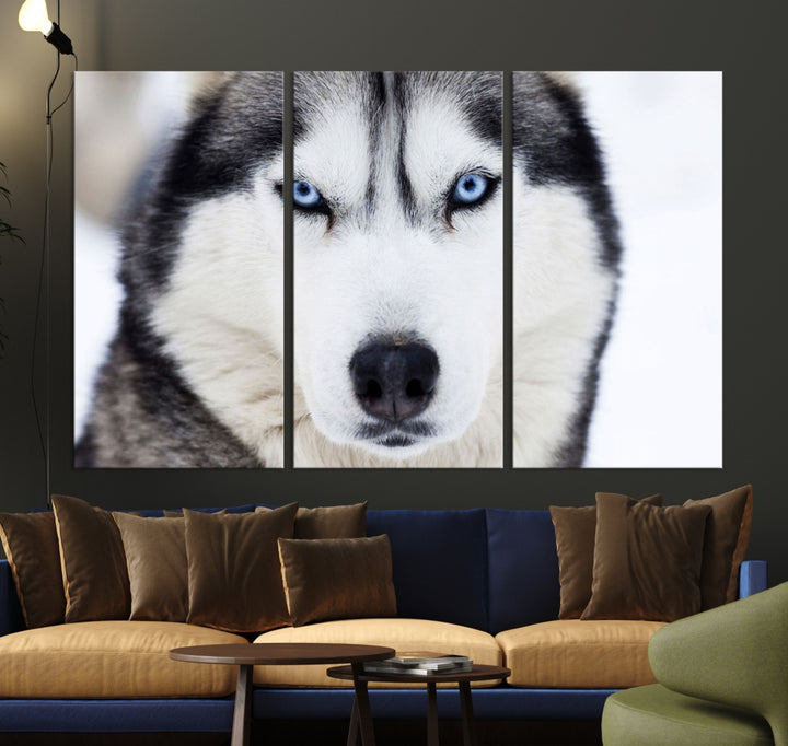 Winter Siberian Husky Wolf Blue Eyes Wall Art Canvas Print