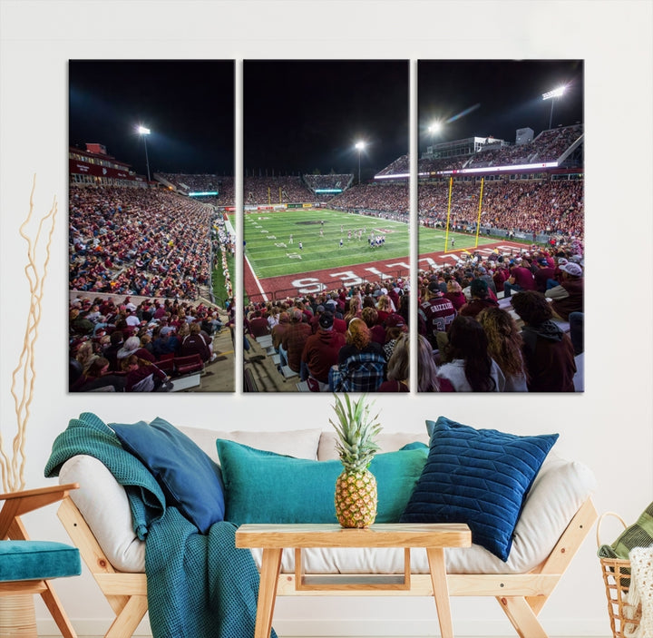 Impresión de lienzo de arte de pared de fútbol americano del estadio Washington Grizzly, impresión de arte de pared deportiva, decoración de sala de juegos 