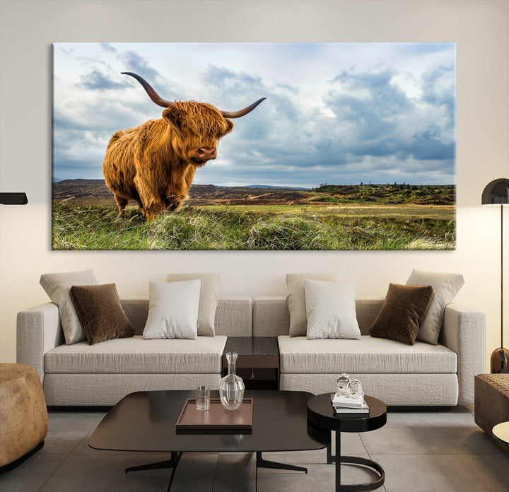Highland Cattle Wall Art Cow Canvas Print Animal Art