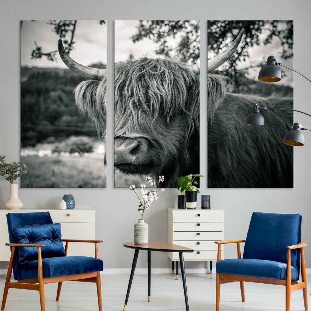 Highland Cow Wall Art Canvas Print Scottish Cattle Canvas Art