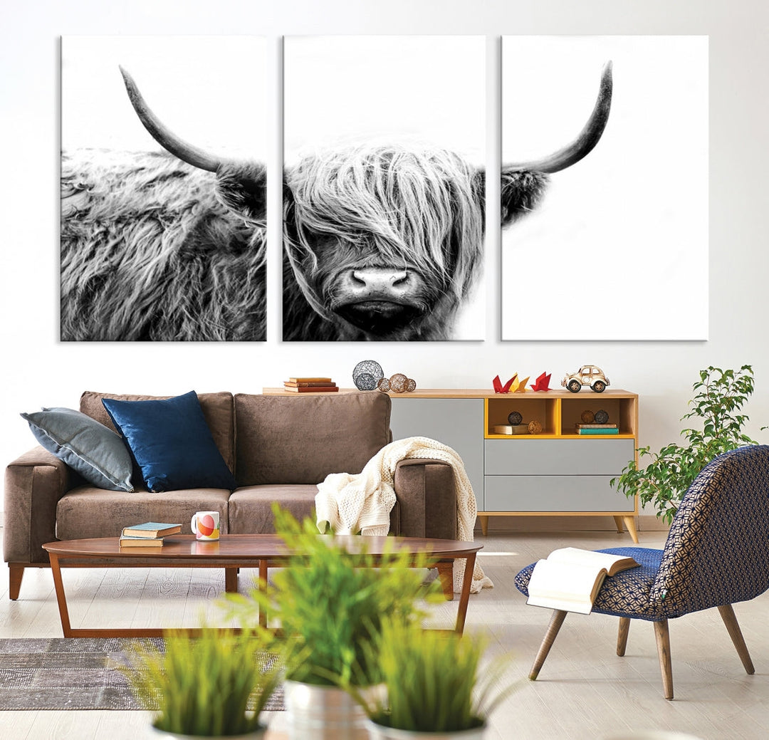 Black White Scottish Highland Cow Cattle Art Print Farmhouse Wall Art Canvas Print