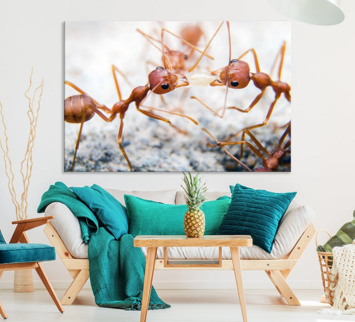 Arte de pared de hormigas Lienzo