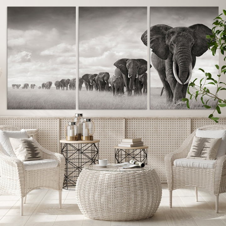 Cuadro en lienzo con manada de elefantes