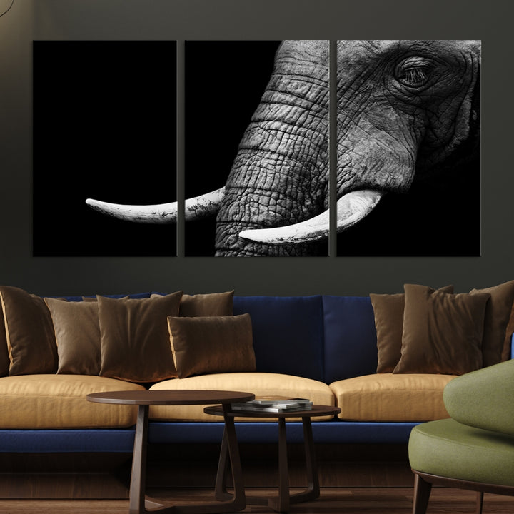 Impresión de lienzo de animales de arte de pared grande - Elefante tomado de cerca con grandes marfiles
