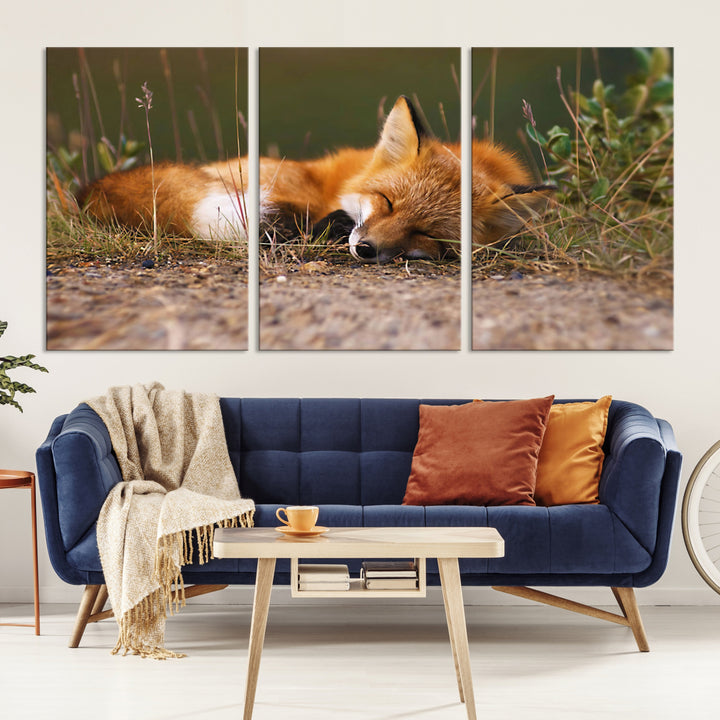 Sleeping Fox Wall Art Canvas Print, Farmhouse Wall Decor and Animal Wall Art Print