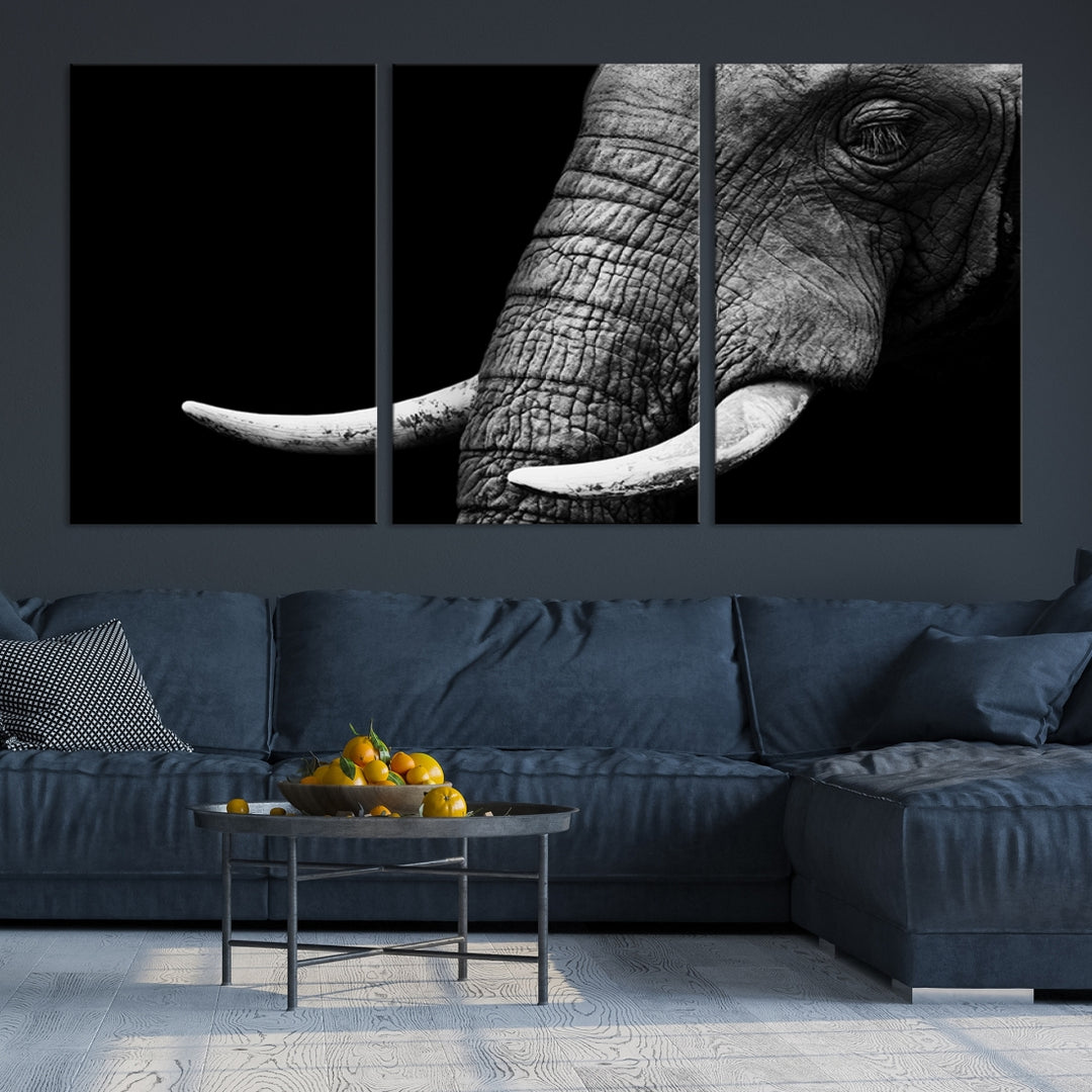 Wall Art Animal Canvas Print Close Taken Elephant with Big Ivories