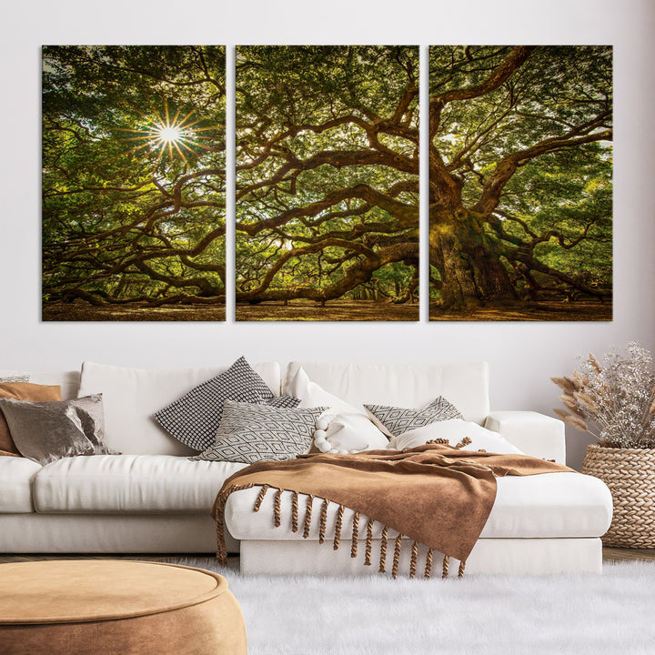 Oak Tree Wall Art Canvas Print