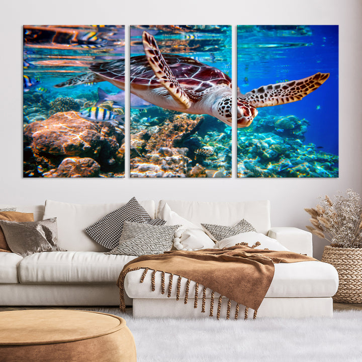 Turtle in the Ocean Coral Ocean Life Wall Art Canvas Print for Kids Room Decor