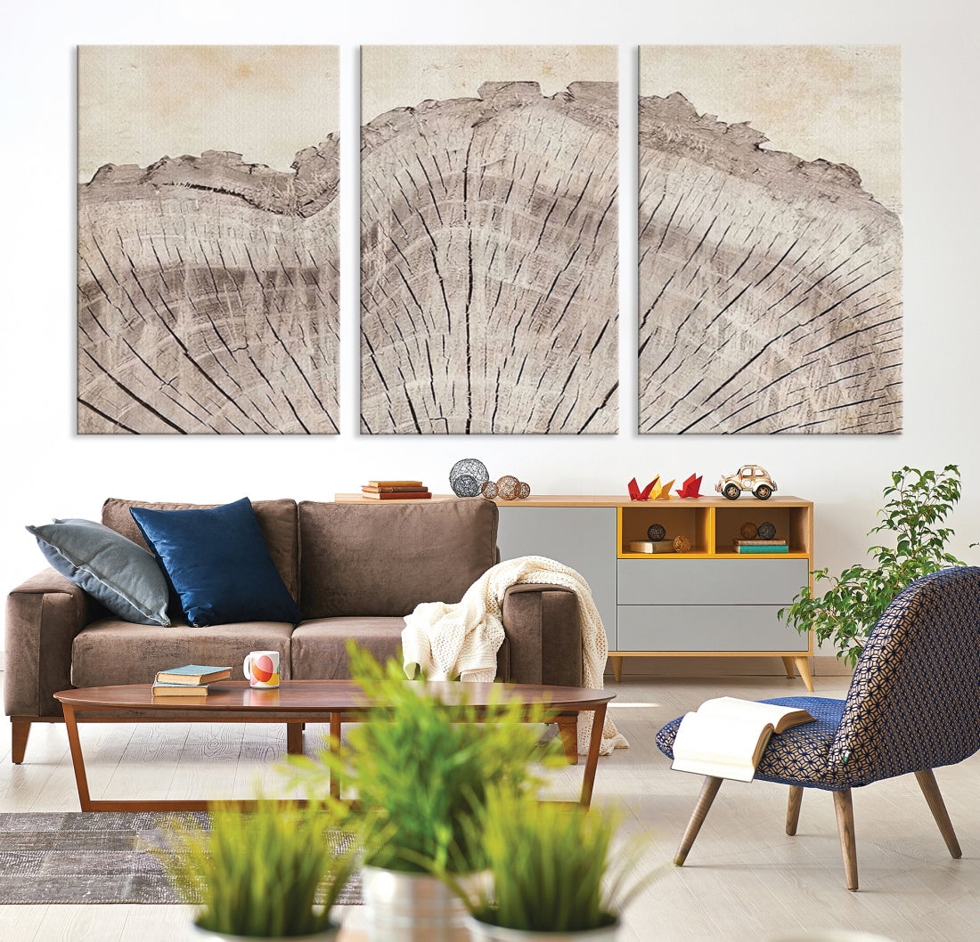 Framed Canvas Print Wall Art Wood Tree Rings Abstract Illustrations Minimalist Modern Art Boho Decor