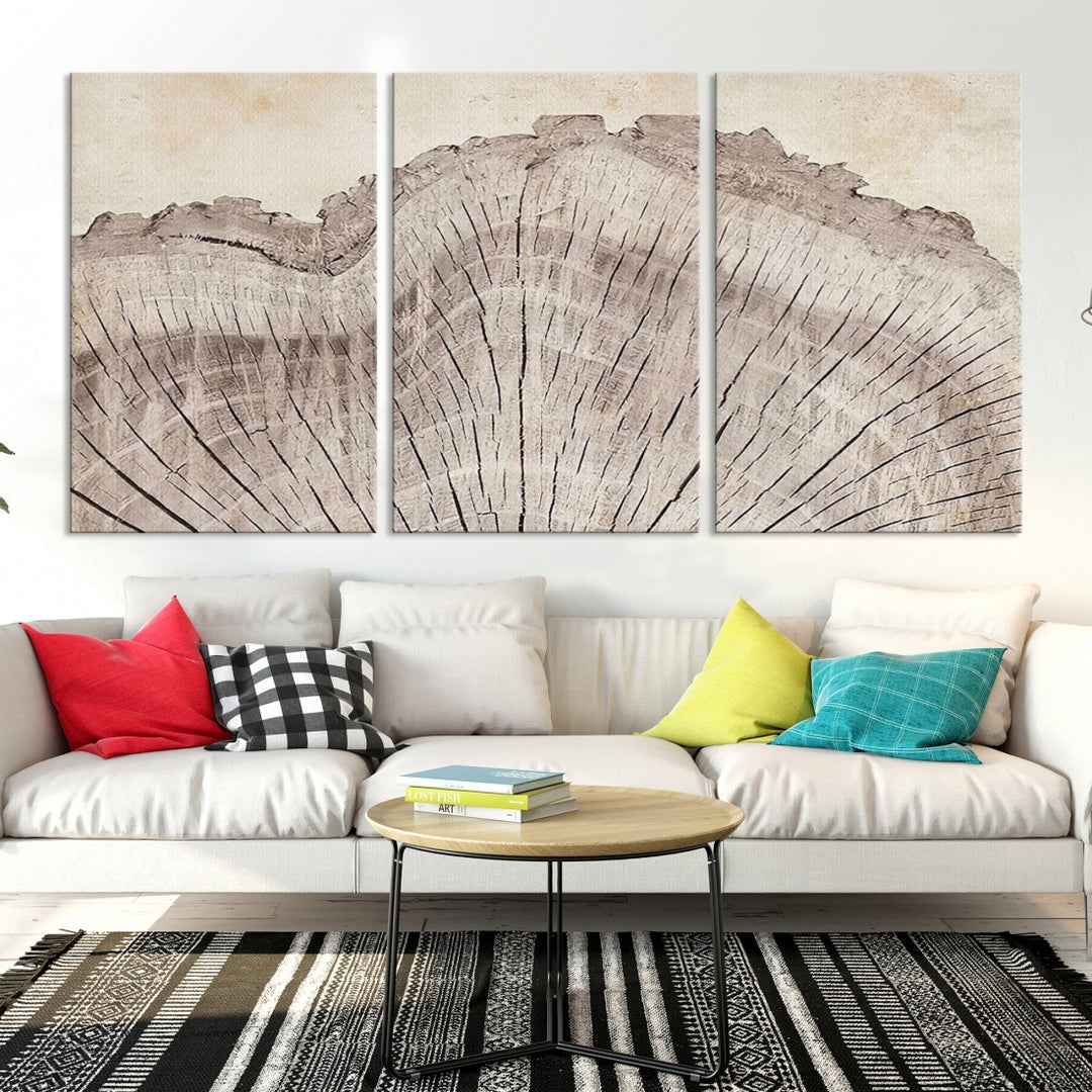 Lienzo enmarcado Impresión Arte de la pared Anillos de árboles de madera Ilustraciones abstractas Arte moderno minimalista Decoración boho