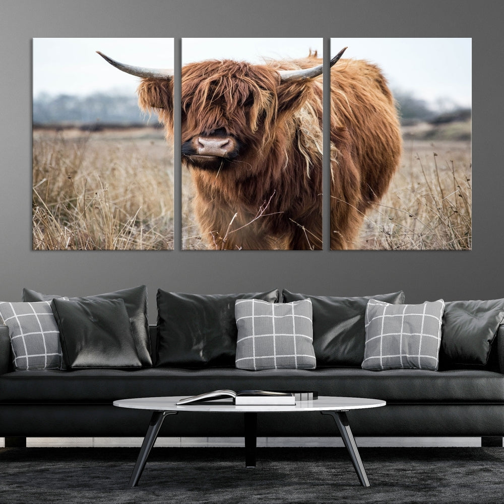 Highland Scottish Cow Canvas Wall Art Impression sur toile