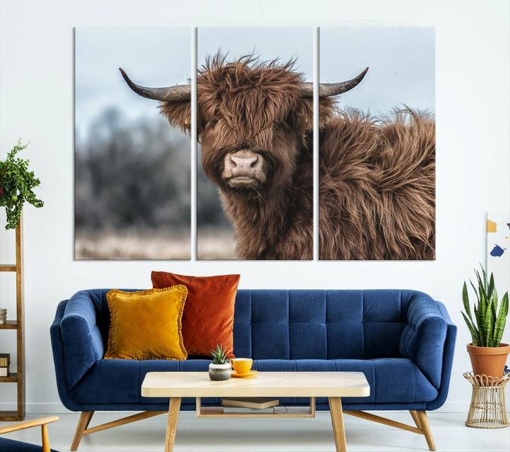 Fluffy Highland Cow Photograph Wall Art Canvas Print