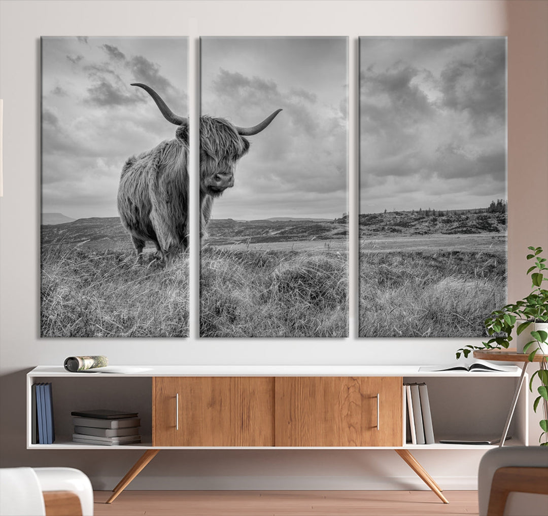 Scottish Cow Canvas Wall Art