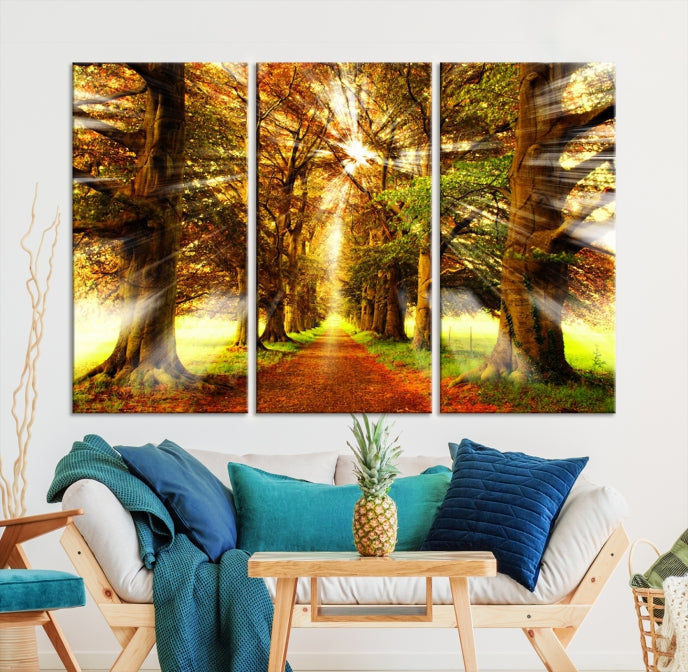Lienzo decorativo para pared con sol en bosques y árboles