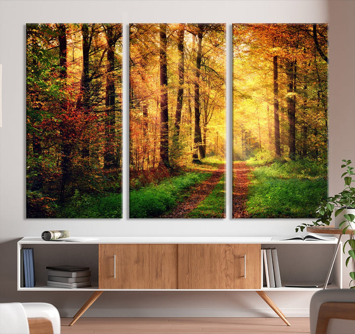 Sunlight Through Trees Wall Art Canvas Print