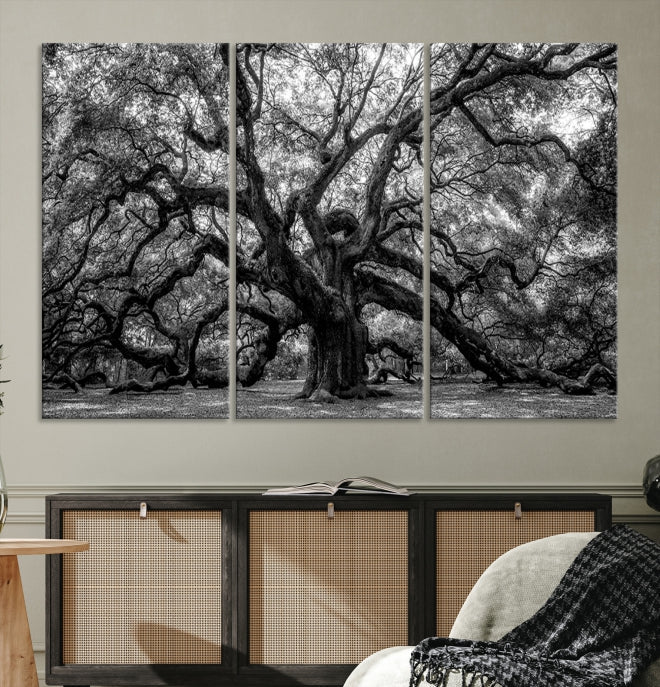 Black and White Old Angel Oak Tree Wall Art Canvas Print
