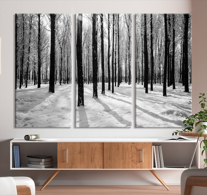 Arte de pared grande, bosque de invierno, álamos, impresión en lienzo