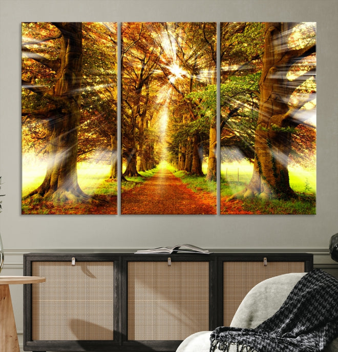 Soleil dans la forêt et les arbres Wall Art Impression sur toile