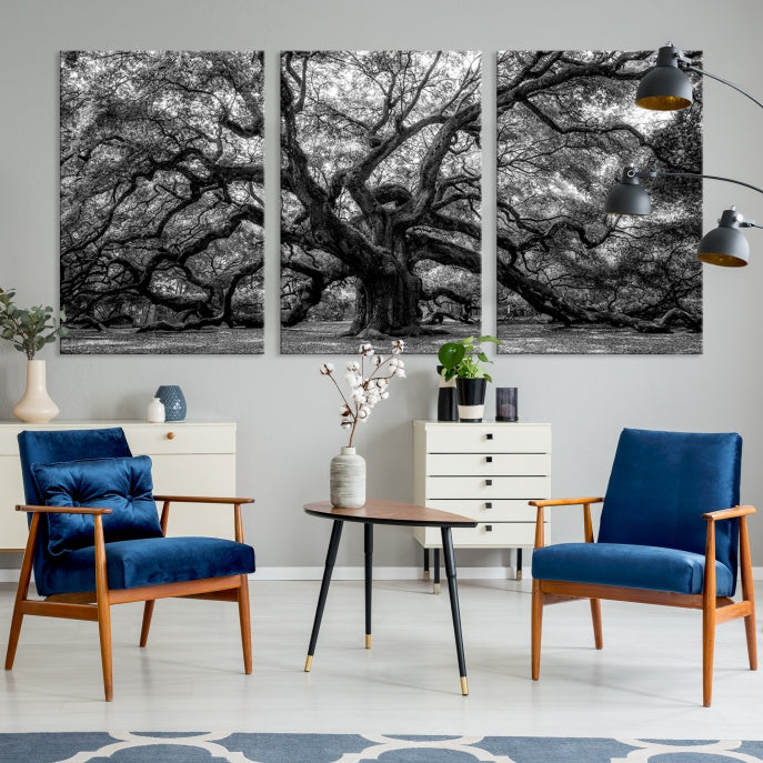 Black and White Old Angel Oak Tree Wall Art Canvas Print