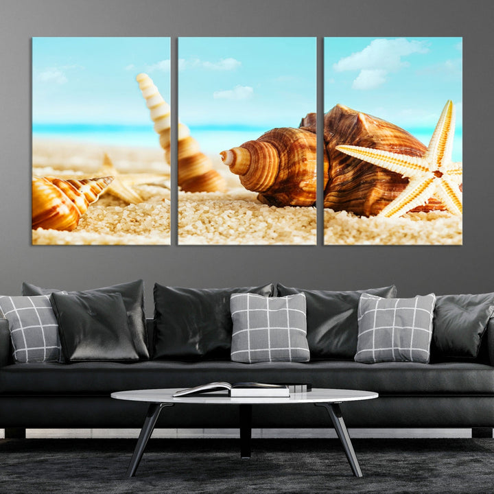 Sea Shells by the Beach Wall Art Canvas Print