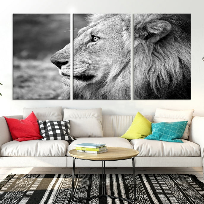African Lion Wall Art Canvas Print