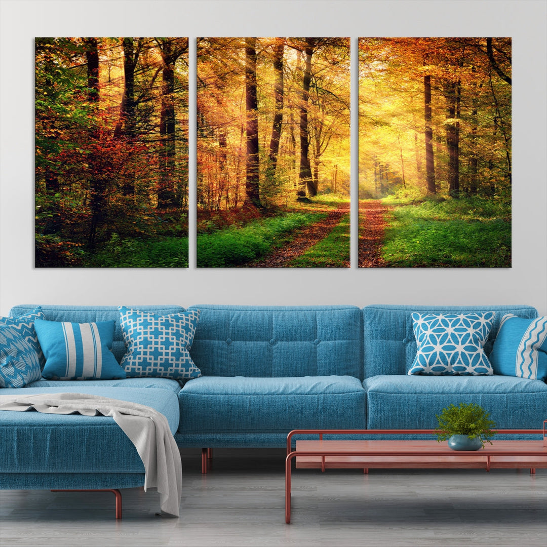 Sunlight Through Trees Wall Art Canvas Print