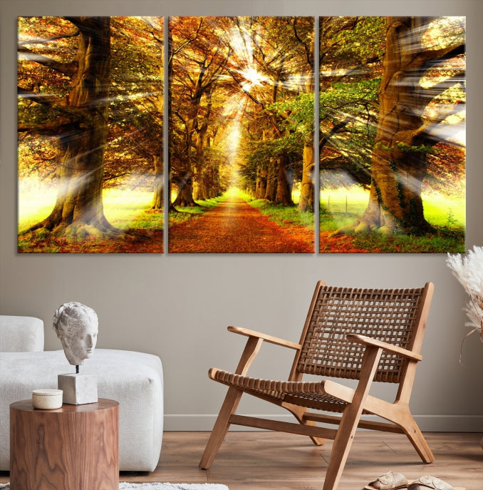 Sunshine in Forest and Trees Wall Art Canvas Print