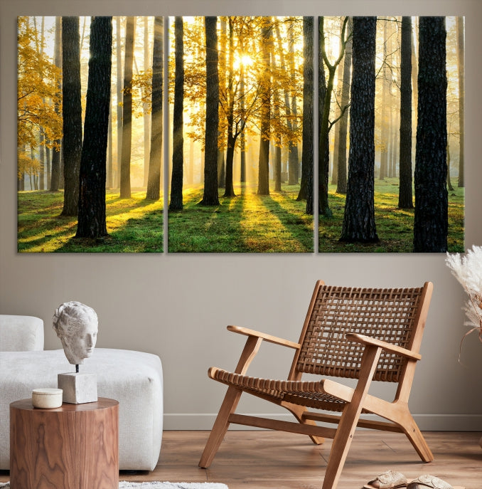 Forest Trees Sunshine Wall Art Canvas Print