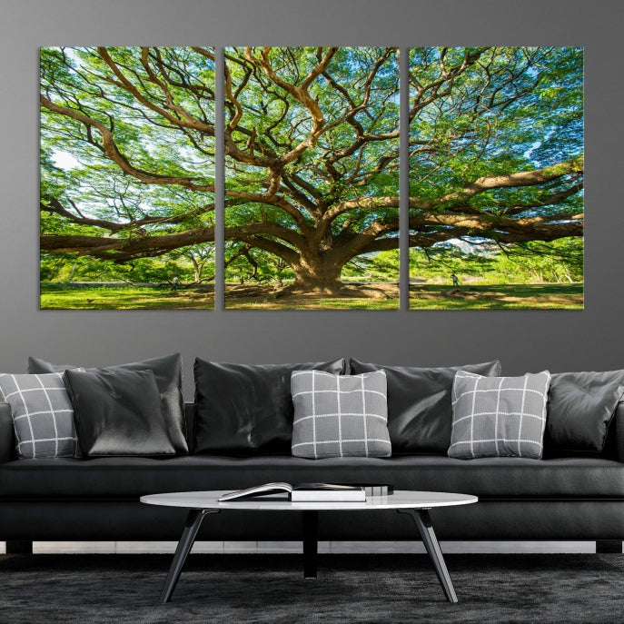 Angel Oak Tree Wall Art Canvas Print