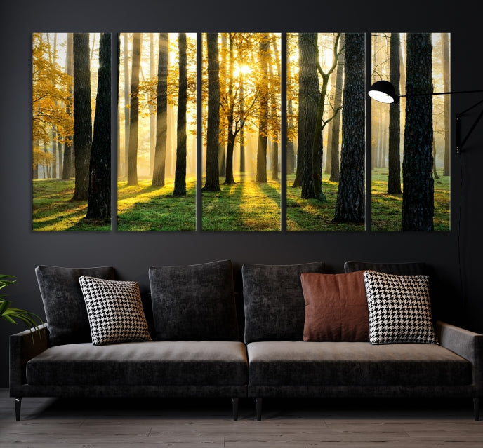 Forest Trees Sunshine Wall Art Canvas Print