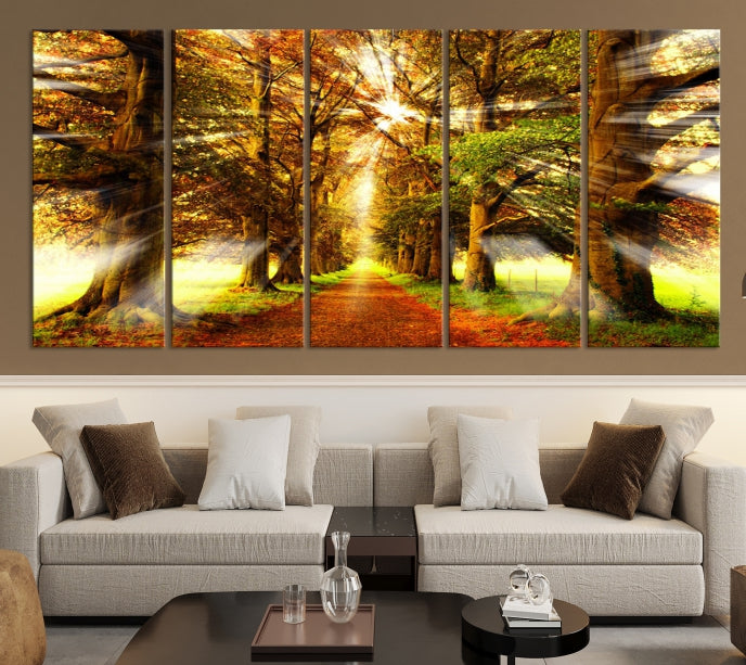 Lienzo decorativo para pared con sol en bosques y árboles
