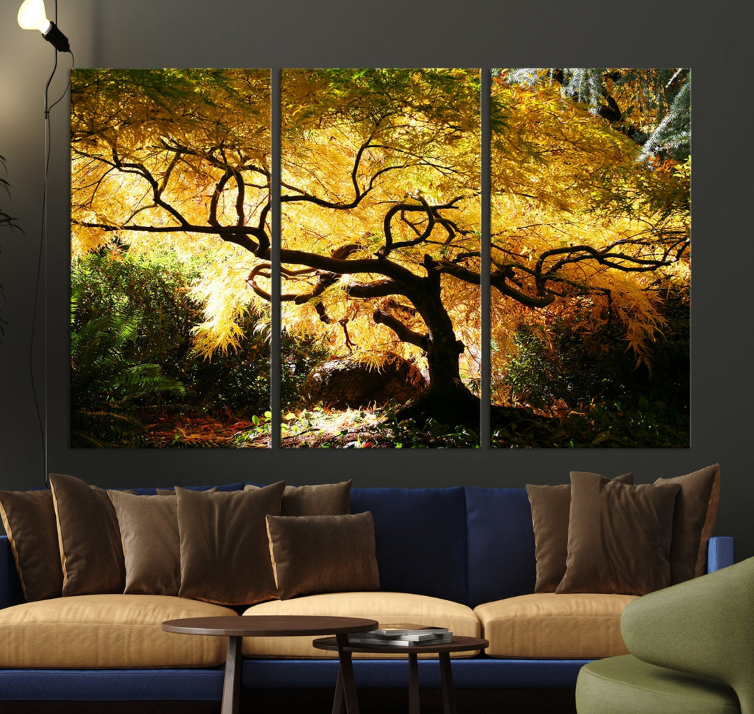 Japanese Maple in Autumn, Japanese Garden, Portland Oregon Fall Wall Art Canvas Print