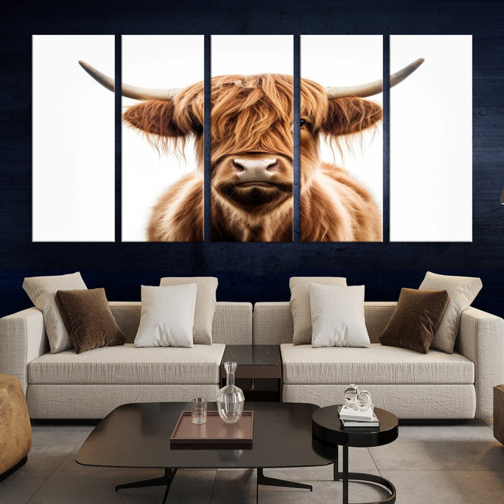 Vache écossaise des Highlands Impression sur toile