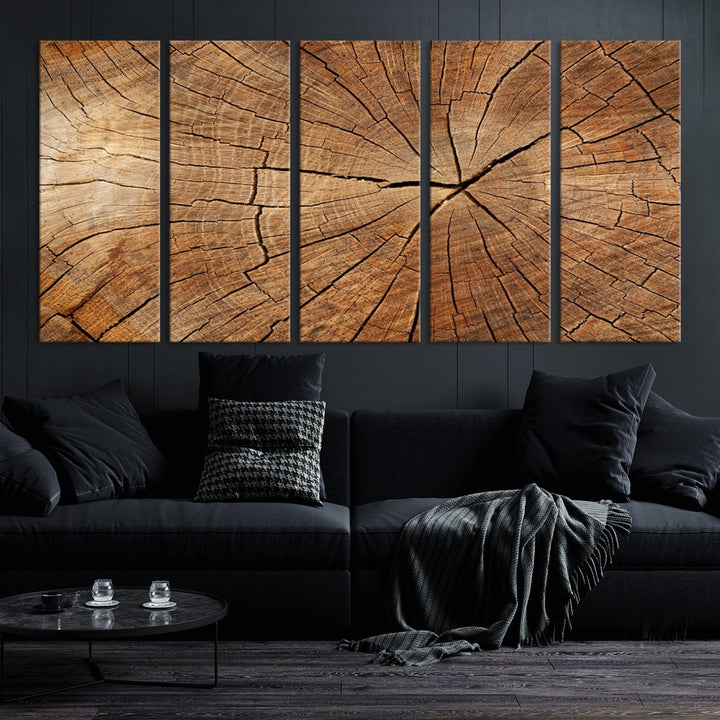 Wood Texture Wall Wood Crack Abstract Canvas Print