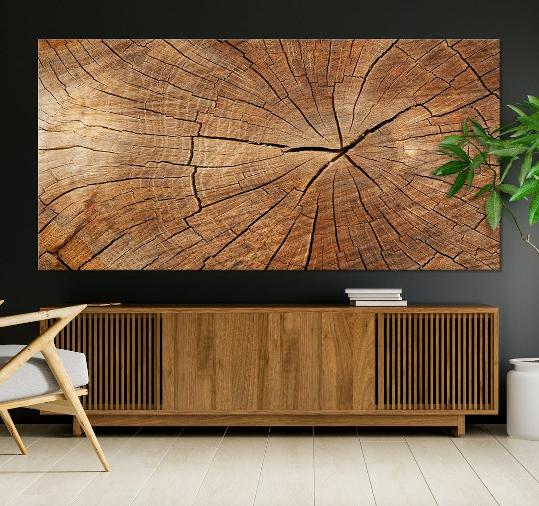 Wood Texture Wall Wood Crack Abstract Canvas Print