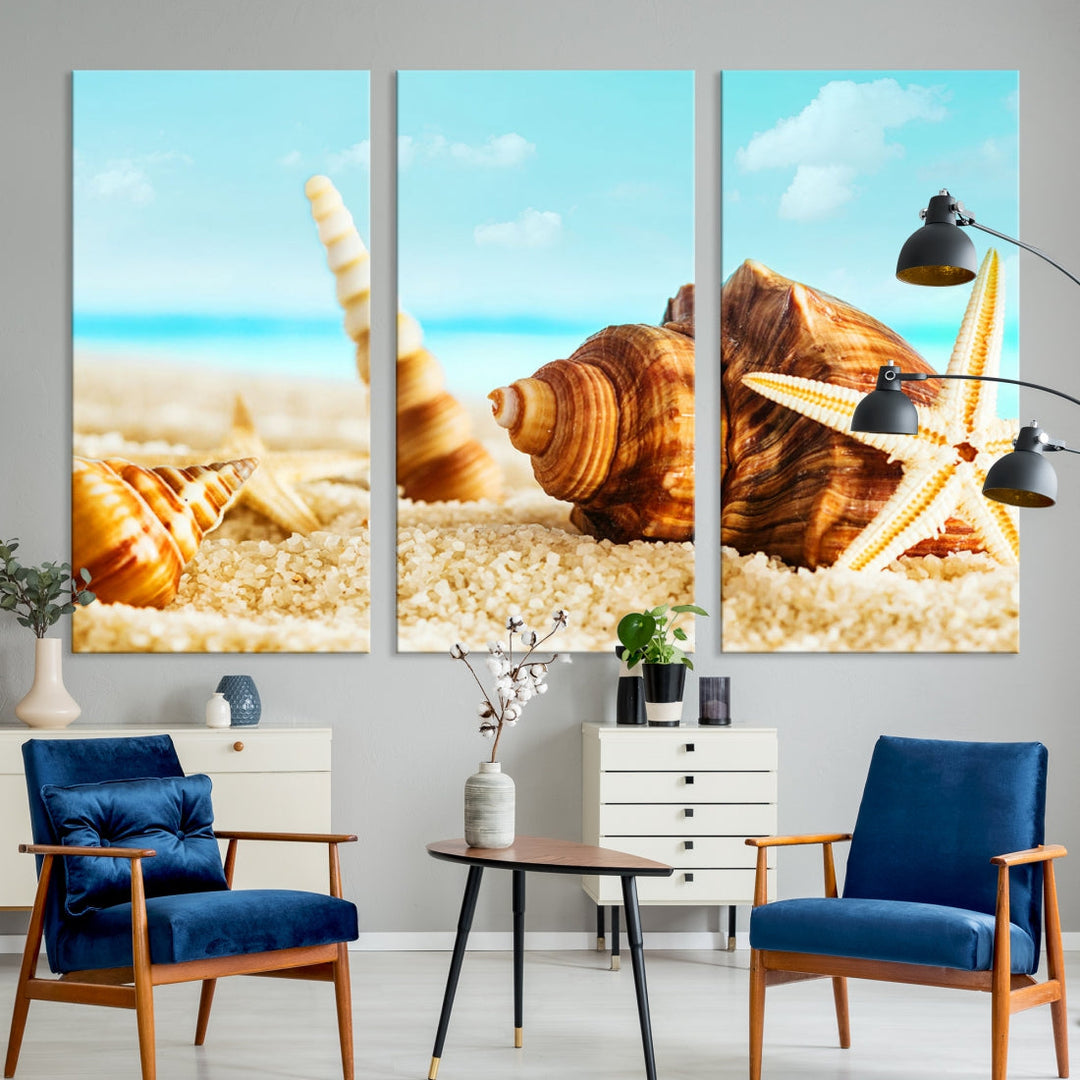 Sea Shells by the Beach Wall Art Canvas Print