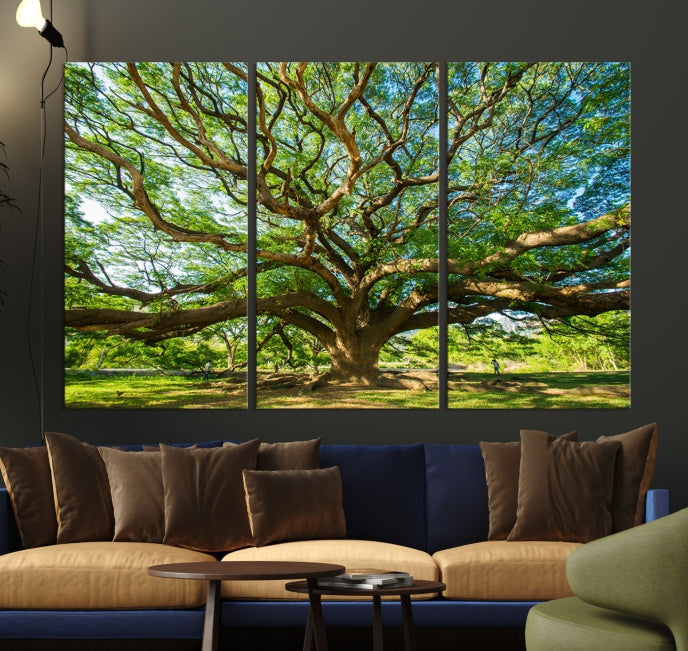 Angel Oak Tree Wall Art Canvas Print, Multi Panel Wall Art, Ready to Hang Wall Art for Living Room