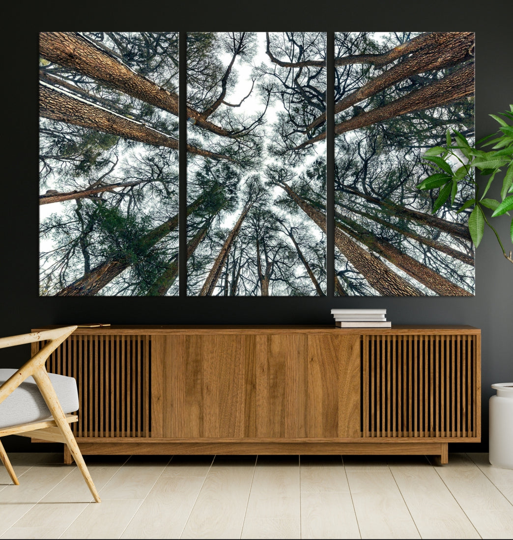 Impression sur toile d’art mural d’arbres forestiers