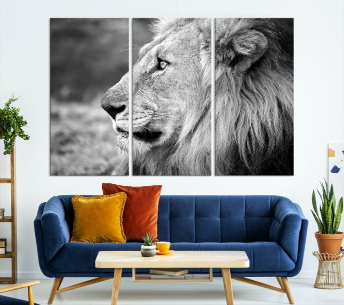 African Lion Wall Art Canvas Print