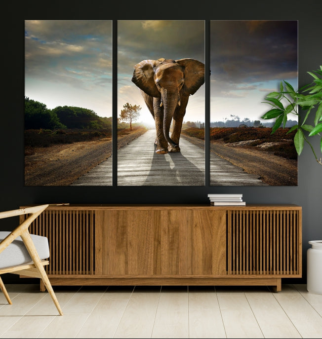 Elephant Wall Art Animal Canvas Print